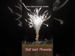 Trung Quốc Phân phối pyrotechnics Wolf Howl Cake Báo hoa lửa Feuerwerk Pirotecnia Fuochi D'artificio