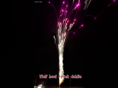 Bánh pháo hoa Trung Quốc Nóng Bỏng Tiếng Sói Hú và Hoa Thược Dược Hồng Ngoài Trời Bán Buôn Bánh Tiêu Chuẩn