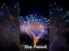 Nhà máy 0.8 Inch 300 Shots 1.3g chuyên nghiệp Cake Báo pháo Hiển thị Báo pháo Pyrotechnics Salute