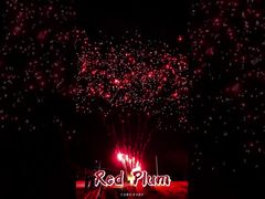 Pháo hoa Liuyang 56 phát, pháo hoa chào mừng ngoài trời, pháo hoa hình bánh, pháo hoa hoa mận đỏ