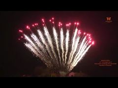 Chinese 1.2 Inch 13 Shots Single Row S Shape 1.3G Customizable Cake Fireworks Professional Fireworks