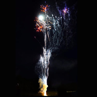 Chinese 100 Shots Special Effects Wholesale Pyrotechnics Price Cake Fireworks Cheap Fireworks 1.4g Un0336