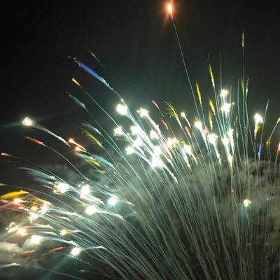 300 Shots Customizable Cake Fireworks Outdoor 1.3G Professional Colorful Daytime Fireworks for Christmas Festival Celebration