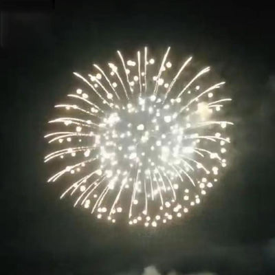 1.3G Professional 8 Inch Display Shells New Year 1.3g Fireworks 2" 2.5" 3" 4" 5" 8"6" 10 Inch Fireworks Pyrotechnics Shells