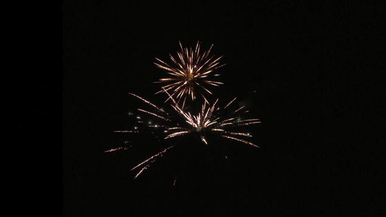 Trung Quốc xuất khẩu chất lượng cao 22 shot 350g bánh pháo hoa với hình dạng khác nhau 1.4g Un0336 pháo hoa