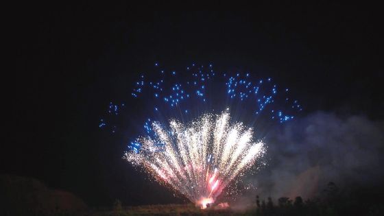 Mandarin Pyrotechnics Liuyang Professional Cake Fireworks 100 shot