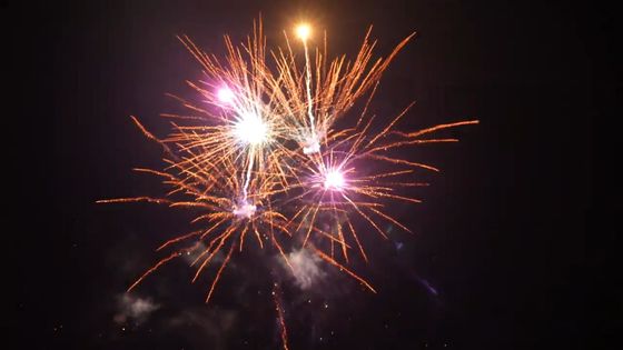 Pháo hoa 21 phát hiệu ứng tốt Pháo hoa bánh ngoài trời cho lễ kỷ niệm