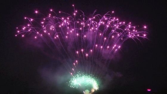 Liuyang Mandarin Cake Pyrotechnics 208 Bắn Pháo hoa Trưng bày Chuyên nghiệp 1,3g