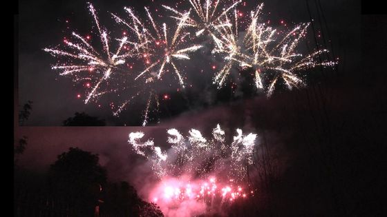 Liuyang pháo hoa 1.3g Un0335 Pyrotechnics 56 Shots Professional Display pháo hoa 1.3g Cho lễ kỷ niệm