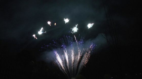 Mandarin Display 90 Shots Salute Pyrotechnics Pháo hoa bánh chuyên nghiệp cho bữa tiệc