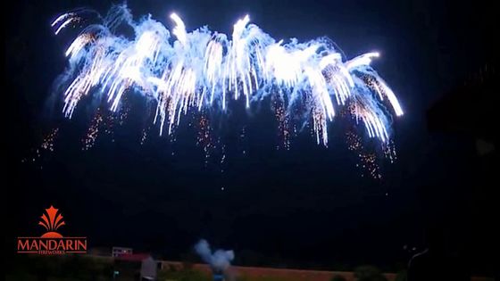 Tiếng phổ thông 50 phát Bánh pháo hoa chuyên nghiệp Pháo hoa Trung Quốc Pháo hoa