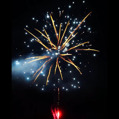 Hot bán 138 Shot màu sắc tiêu dùng giá rẻ bánh pháo hoa cho lễ kỷ niệm ngoài trời pháo hoa lớn bánh