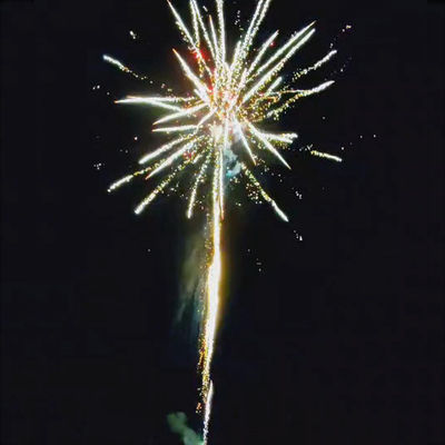 Liuyang Outdoor Big Consumer Cake Fireworks Cho Lễ kỷ niệm 209 Shots Cake Fireworks