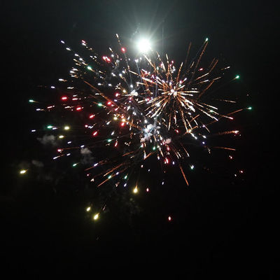 Trung Quốc Pyrotechnics ngoài trời tiêu dùng bánh pháo hoa 49 shot