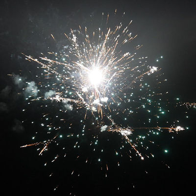 56 Shots Consumer Cakes Fireworks 2024 1.4g UN0336 Cho bữa tiệc