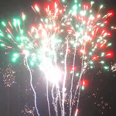Sản phẩm bán buôn Lợn Howling Pyrotechnics Cake Fireworks 2024 Giá tốt Hàng tiêu dùng ngoài trời Từ nhà máy Trung Quốc