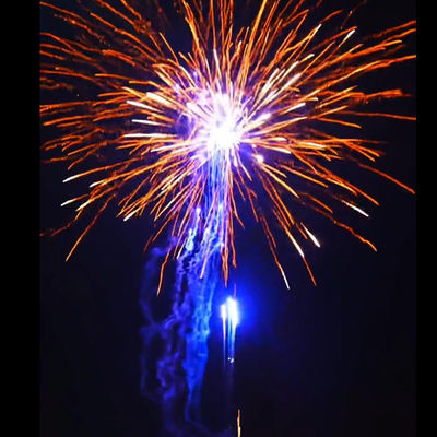 Trung Quốc Nhà máy ngoài trời bánh pháo hoa pháo hoa & pháo hoa cho lễ kỷ niệm năm mới Pyrotechnics 2024