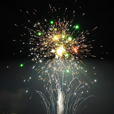Khẩu pháo chất lượng cao của Trung Quốc Khẩu pháo Liuyang 100 shot Khẩu pháo bánh tiêu dùng 1.4G Pro Fire Crackers Khẩu pháo bánh