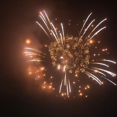 Liuyang Factory Wholesale Supplies Mandarin Professional Display Fireworks 4 Inch Display Shells Fireworks 1.3g Pyrotechnics