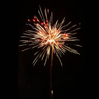 Liuyang Pyrotechnics 100 Shots Người tiêu dùng Bánh bán buôn Bánh Pháo hoa 2025 Pháo hoa mới trong hiệu ứng tuyệt vời Bánh Pháo hoa