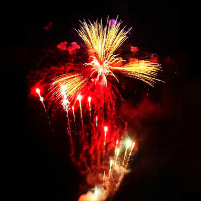 Đồ bắn theo yêu thích 178 Đồ bắn pháo hoa 1.4G Cake Fireworks cho lễ kỷ niệm năm 2025 ở Liuyang Mandarin
