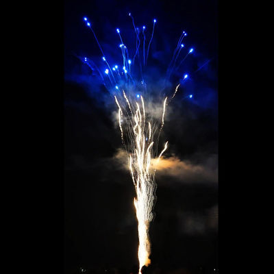 Trung Quốc nhà máy bán buôn tùy chỉnh Blue pháo hoa pyrotechnics 100 shot 1.4G tiêu dùng Howling Wolf Cake pháo hoa cho bữa tiệc