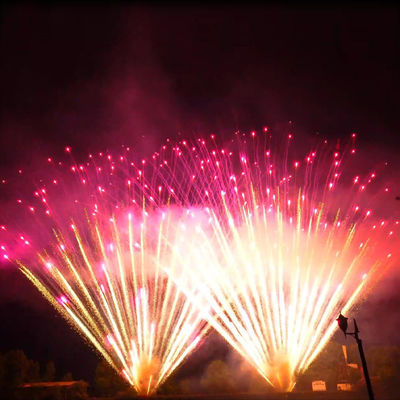 Liuyang Mandarin Mandarin Pyrotechnics 0,8 inch 300 Shots Golden Willow Purple W