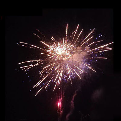 Nhà máy bán buôn Mandarin pháo hoa Pyrotechnics 177 Shots Consumer Big Cake pháo hoa New pháo hoa trong hiệu ứng tuyệt vời