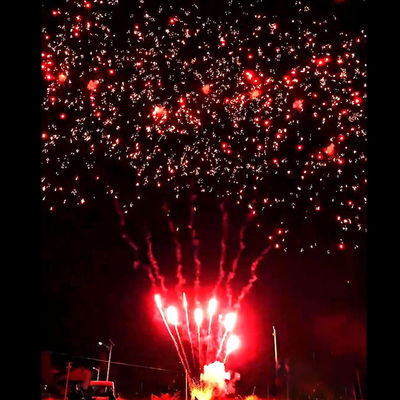 Pháo hoa Liuyang Mandarin Mới Nóng Bỏng 56 Phát Bắn Chúc Mừng Bánh Pháo Hoa Ngoài Trời Pin Hoa Mận Đỏ Pháo Hoa