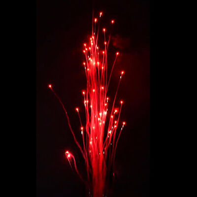 Liuyang Mandarin pháo hoa bán buôn Pyrotechnics Red Wolf Howls New pháo hoa 100 shot Cake pháo hoa pin ngoài trời