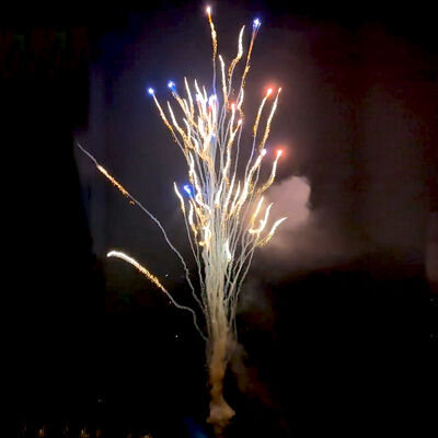 Trung Quốc Nhà máy tùy chỉnh 100 shot sói thét bánh pháo hoa bán buôn pyrotechnics pháo hoa mới cho năm mới lễ cưới Giáng sinh