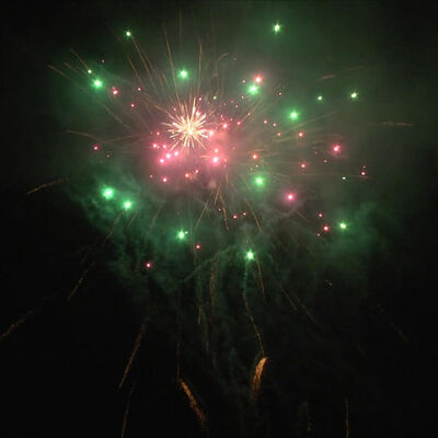 366 Shots Cake Fireworks Pin 1.4g Big Fireworks Pyrotechnics Cho Năm Mới Giáng sinh Halloween Lễ cưới ngoài trời