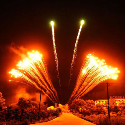 Nhà máy Liuyang 1.3G Chuyên nghiệp 12 lần bắn pháo hoa đơn hàng trưng bày pháo hoa bán buôn Trung Quốc Lễ hội pháo hoa mới Pyrotechnics