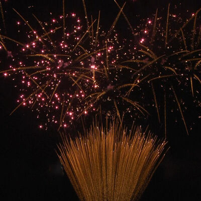 1.2 Inch 100 Shots Cake Fireworks 1.3G Professional UN0335 Chứng nhận pháo hoa cho các lễ hội ngoài trời