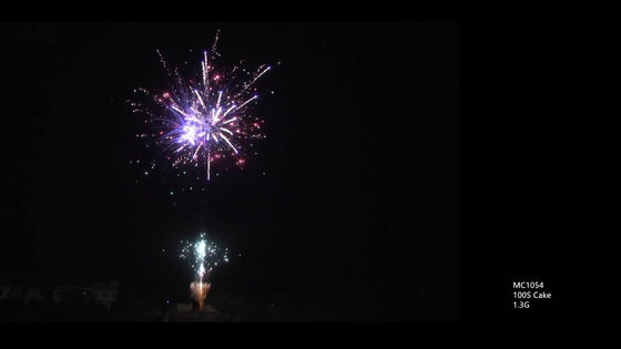 Mandarin Professional 100 Shots Salute Pyrotechnics